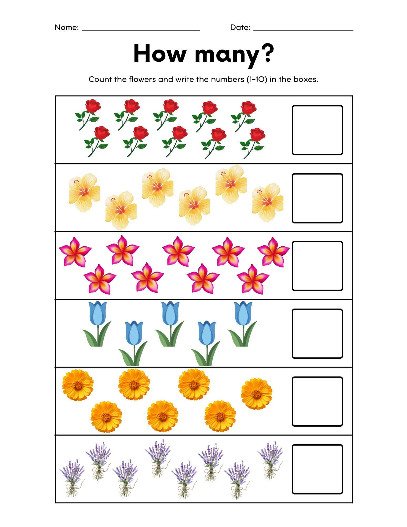 Learning Your Numbers Activity Book